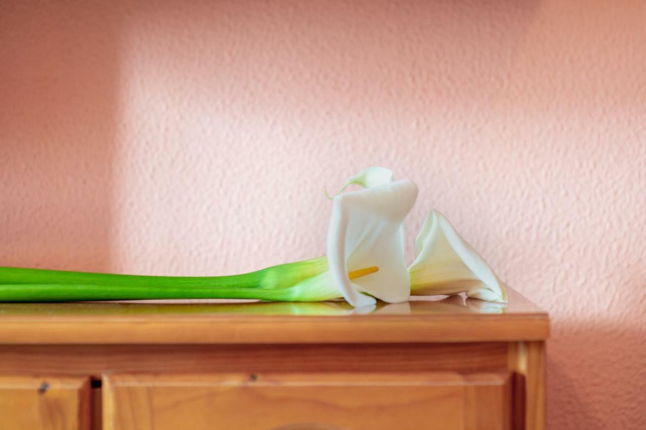 Apartamento Las Flores La Garita Eksteriør billede
